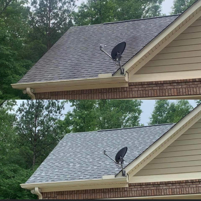 Got Roof Algae? Here’s What You Need&nbsp;ASAP!